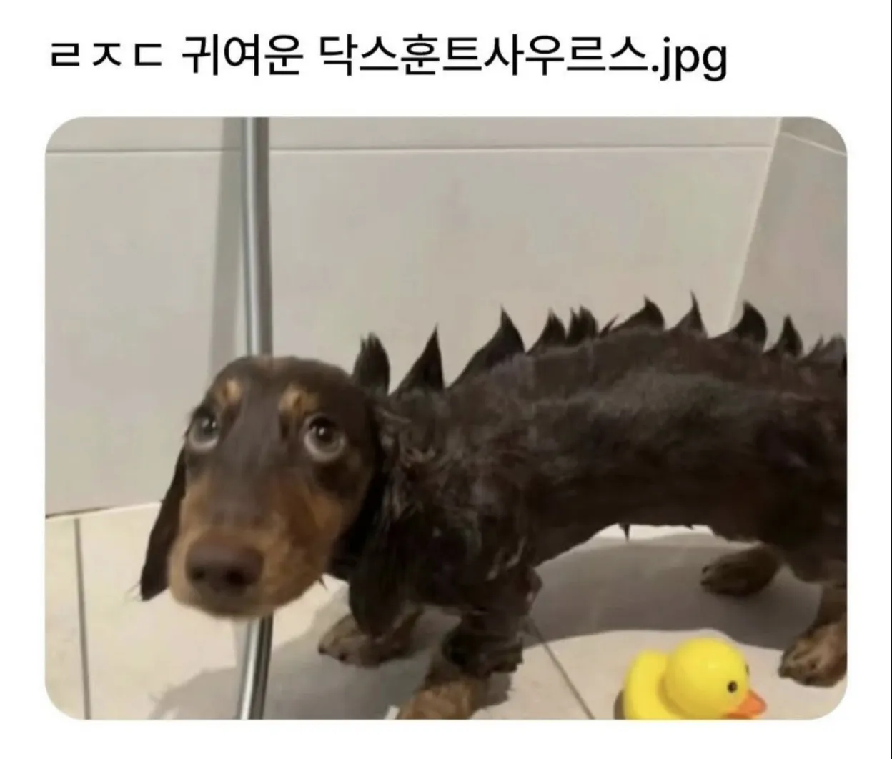 귀여운 닥스훈트사우르스