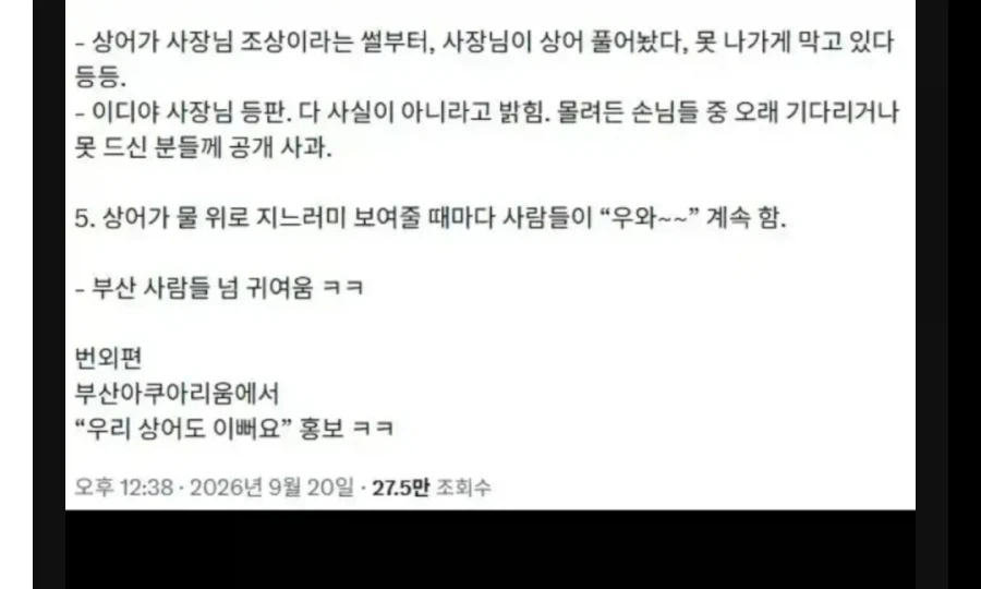 아직 안끝났다는 부산무료상어쇼 (2)
