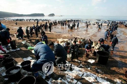 금모으기 운동 이래 최대 단결력 (4)