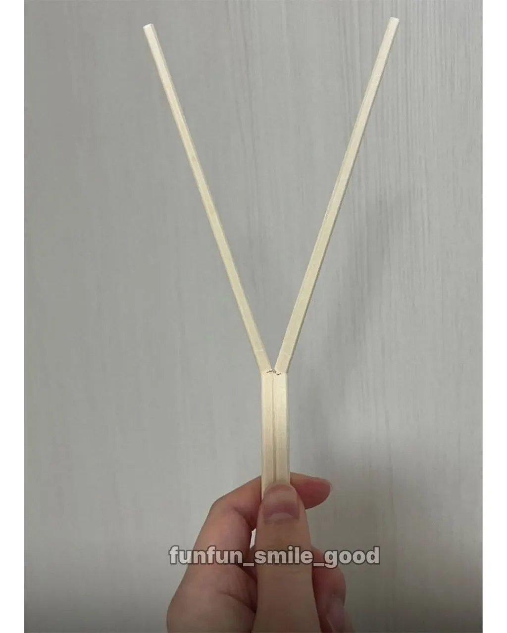 똥손모음