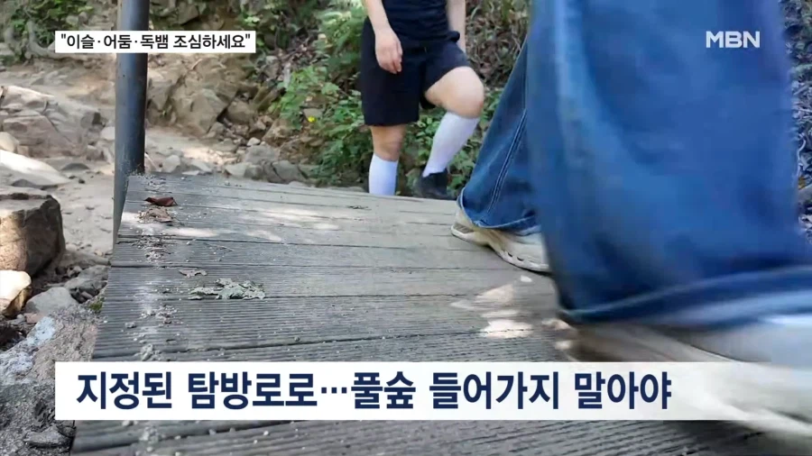 요즘 산행에 독뱀 조심하라네... (6)