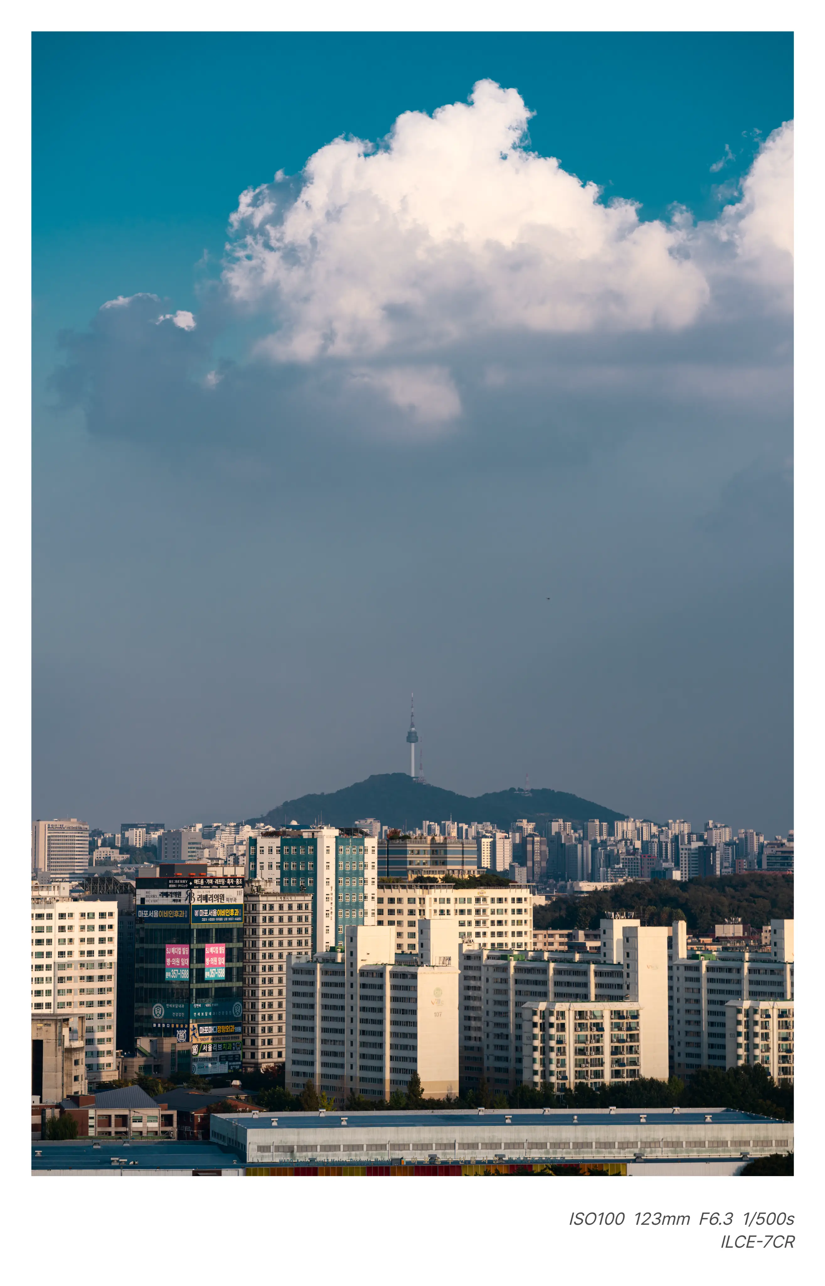 난지도 하늘공원 다녀왔다 봐줘라 (29)