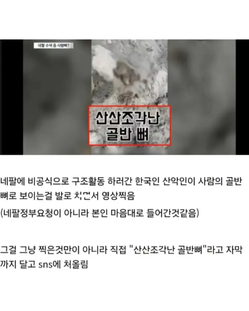 네팔에 간 어글리코리안 산악인 (4)