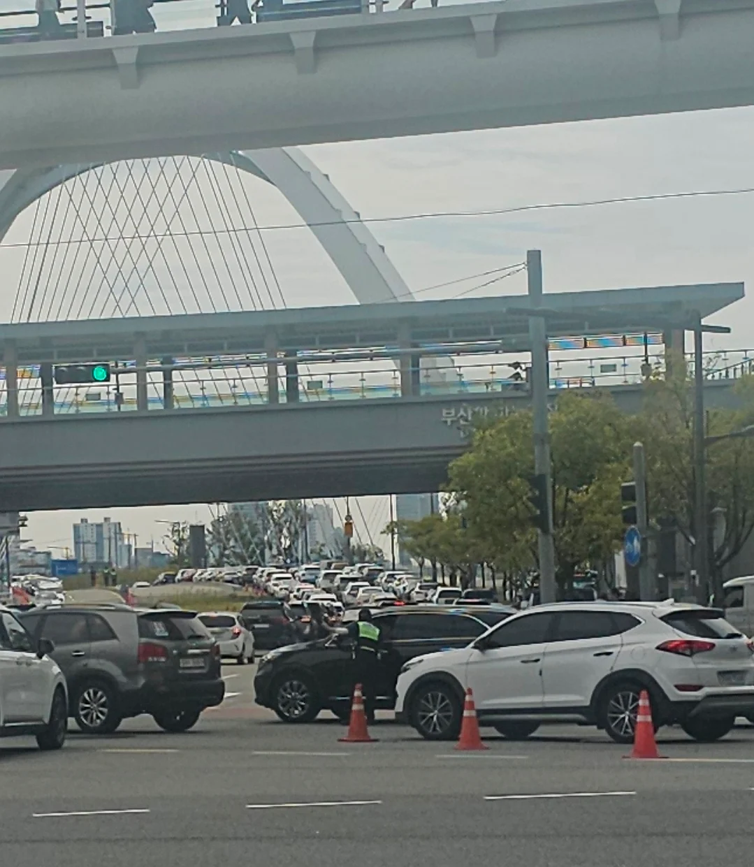 부산 상어공원 오지마라
