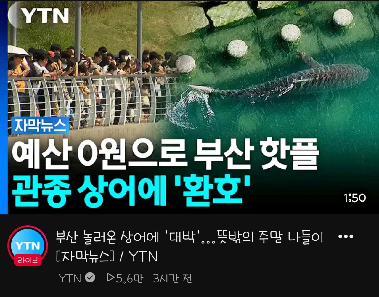 잘 돌리는 YTN 제목 근황 ㅋㅋㅋㅋㅋ