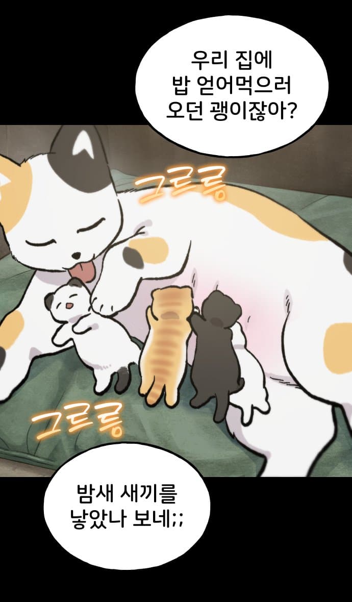 고양이 찬양 하는 만화 (5)