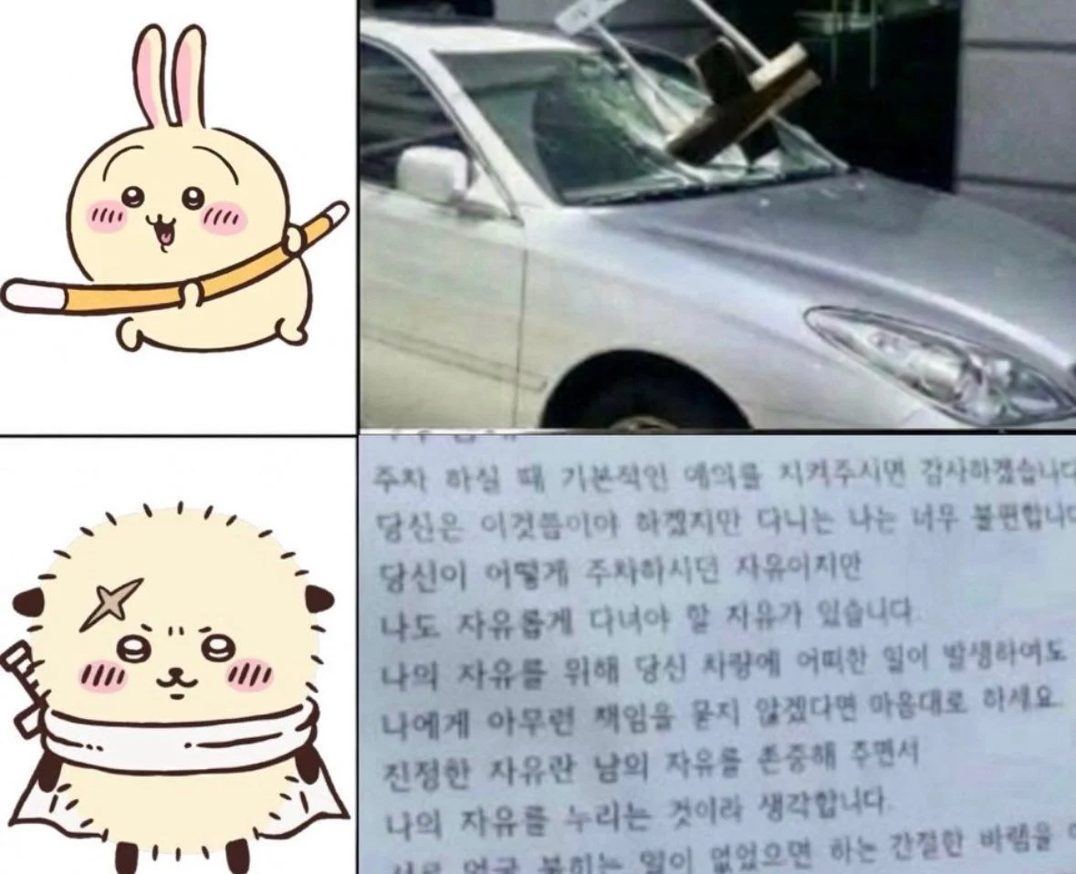 주차를 ㅈ같이 한 차를 본 치이카와들 (3)