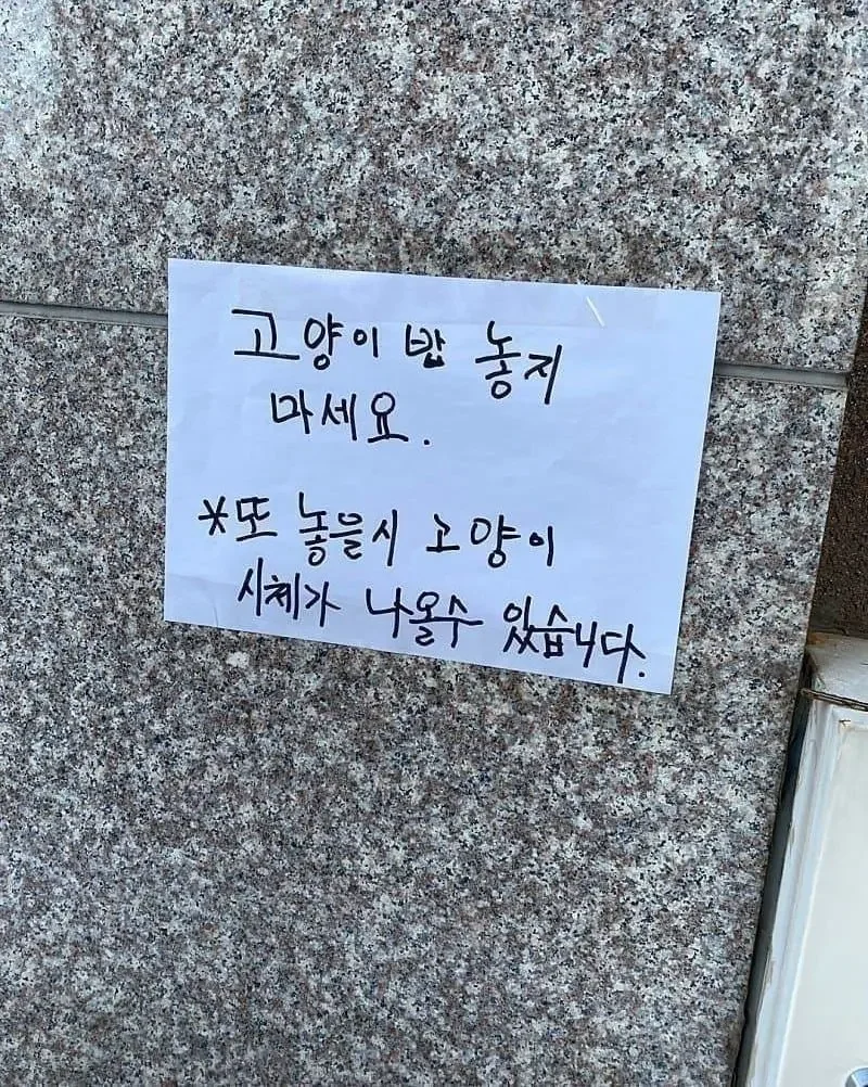 상남자식 캣맘 대처법