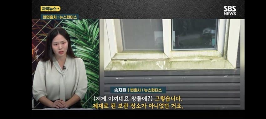 보관이사 맡겼다가 곰팡이, 벌레로 가구 다 망가진 제보자 (21)