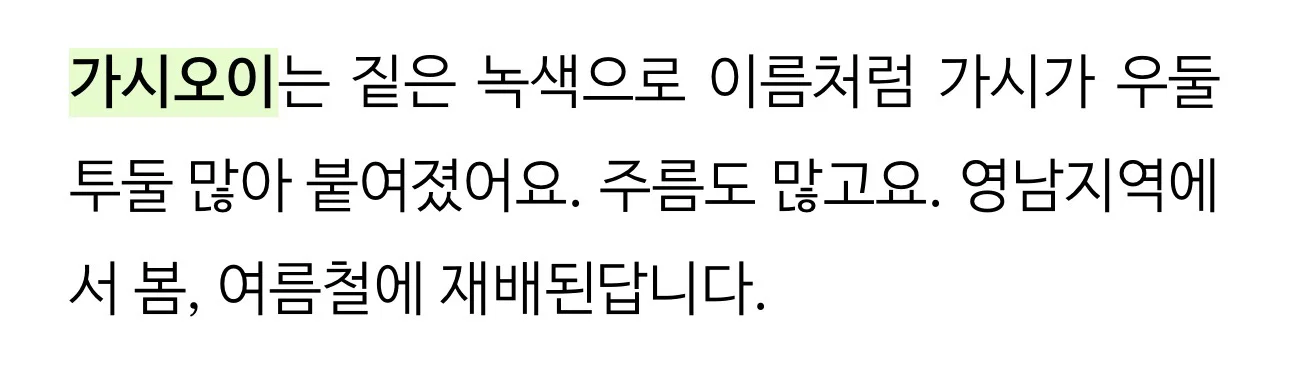 우리나라에서 수도권&충청도 / 전라도 / 경상도&제주도 지역마다 다르다는 채소 (5)