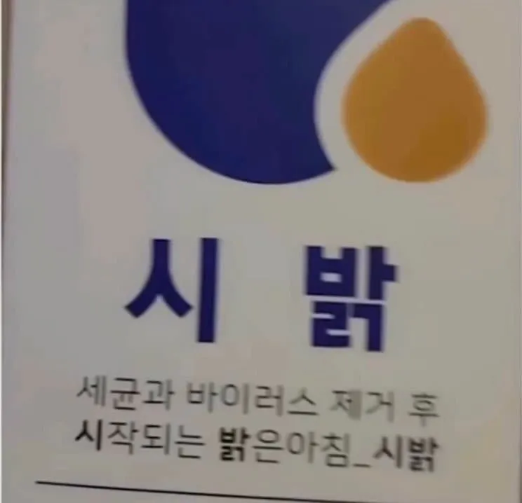 왁자지껄 우당탕탕 지구촌