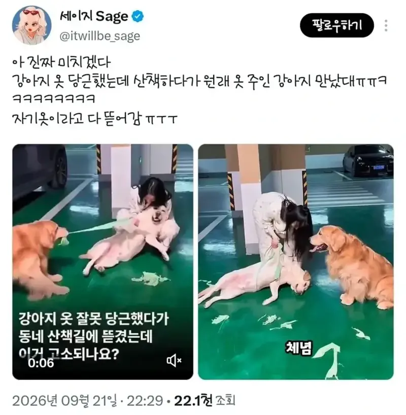 강아지 옷 동네 주민이랑 당근하면 안 되는 이유.jpgif (2)