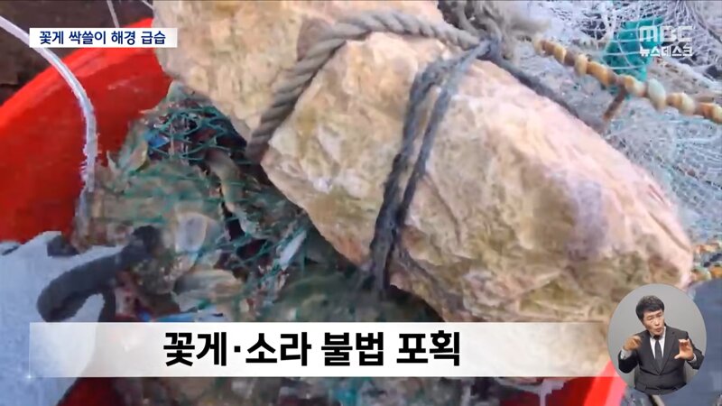중국 눈치 당연히 안 보고 불법 조업 중국 어선 모조리 강력 진압합시다!!! 아이고 속 시원허다~~~ (10)