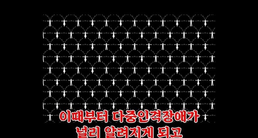 해리성 정체성 장애 (5)