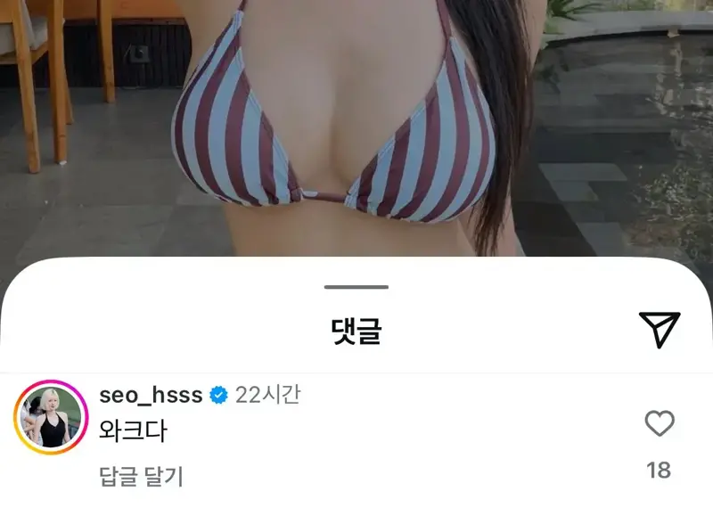 ㅇㅎㅂ비키니 사진 올린 치어리더와 댓글 (3)