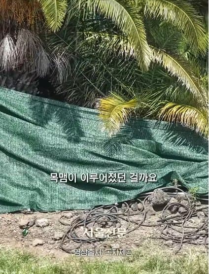 제주실종자가 발견 된 야자수 숲 가는 길을 밤에 직접 가본 기자.. (28)