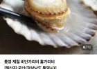 세척 홍가리비 5kg 네이버멤버쉽