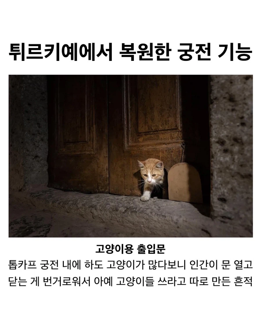 튀르키예 궁전에서 복원한 기능