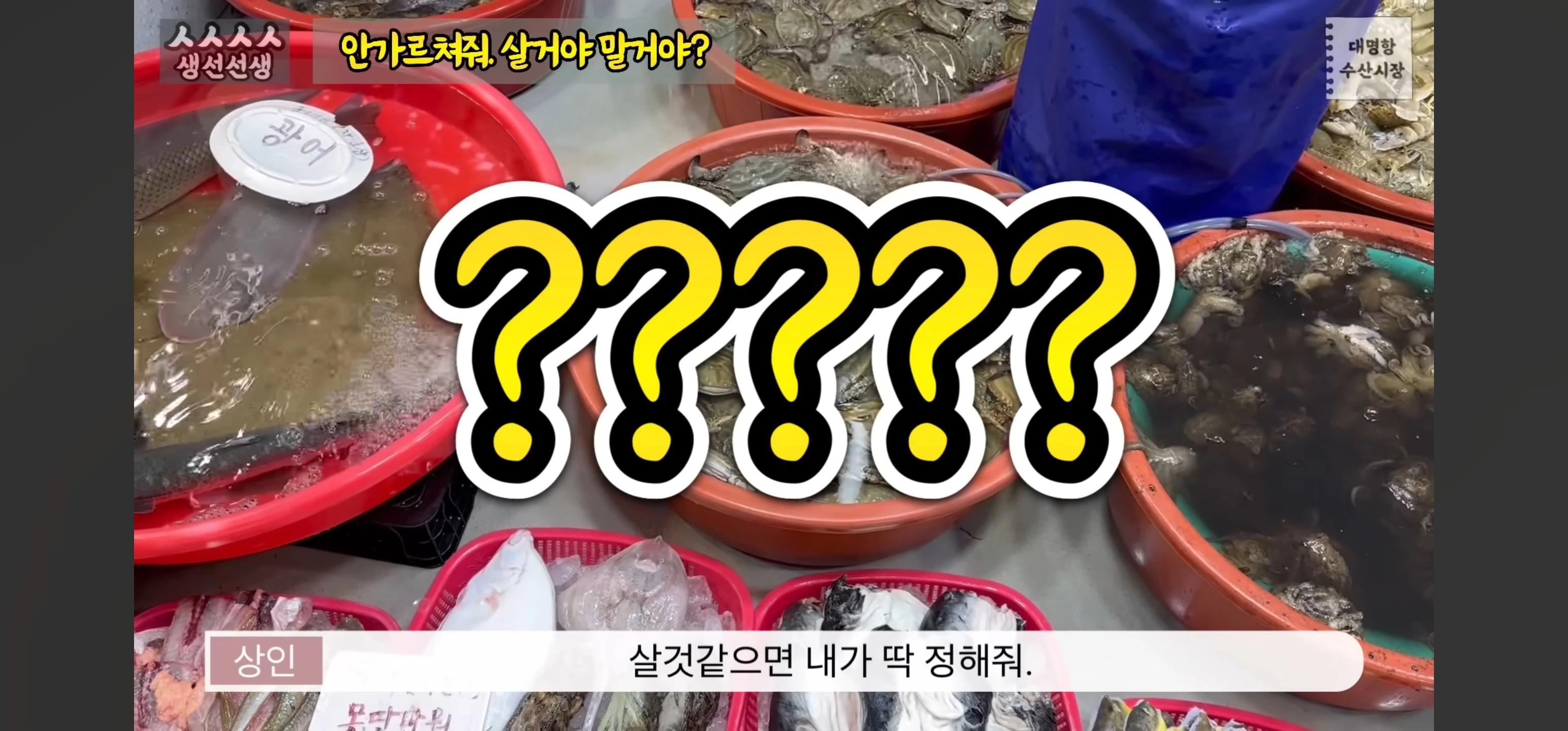 수산시장에서 가격을 물어본 결과.jpg