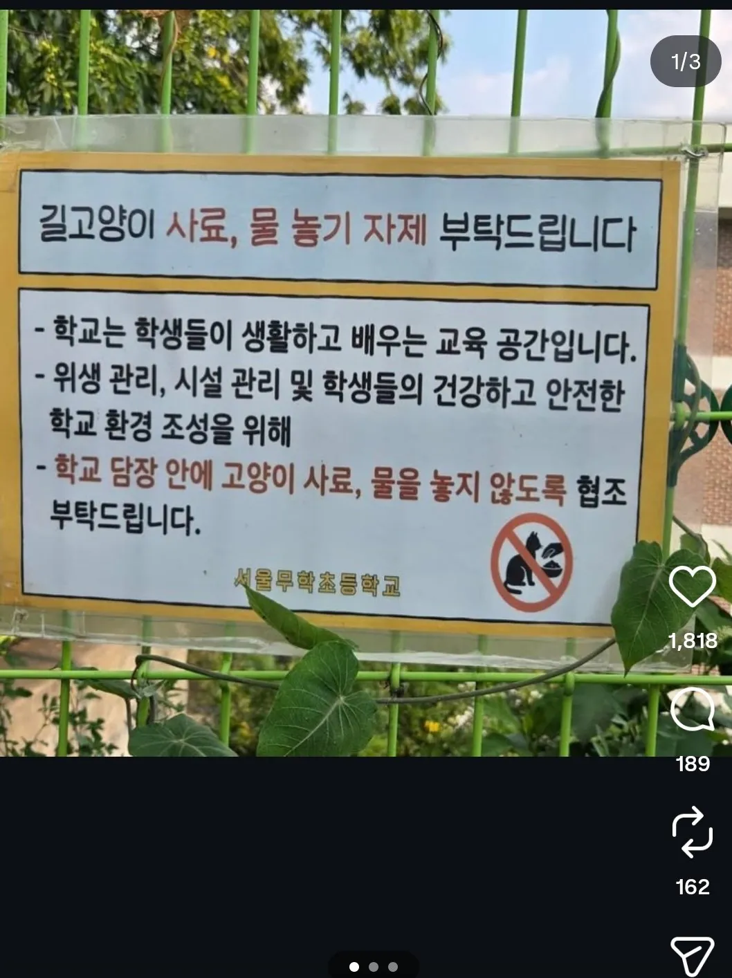 ㄹㅇ 생각보다 장난아니라는 캣맘 화력