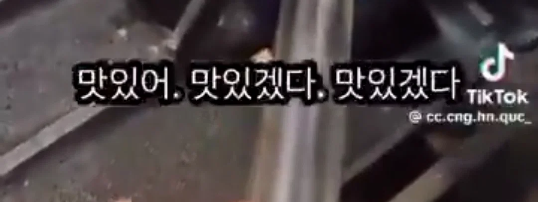 베트남인이 일주일 동안 죽어서 곰팡이가 핀 생선을 한국인에게 먹였다고 조롱하는 영상이 올라와서 논란 (4)