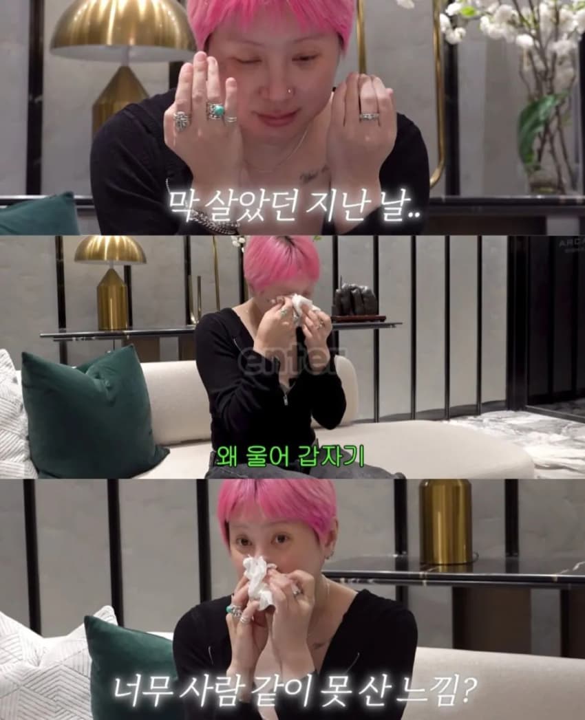 46억 집 구경하다 현타와서 우는 서인영 (9)