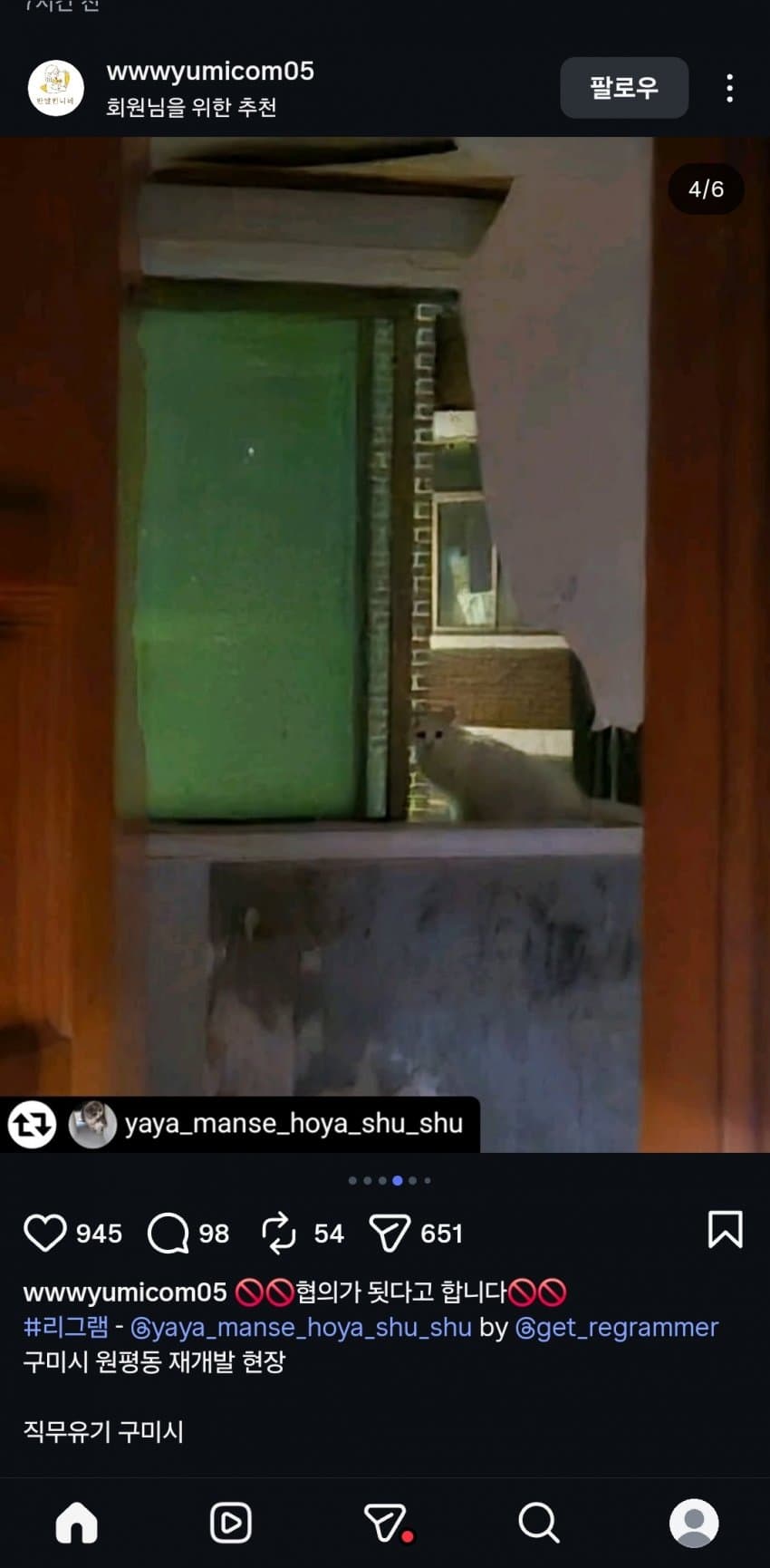 앞으로 재개발 하려거든 지역 고양이 전부 구조하라는 캣맘 (7)
