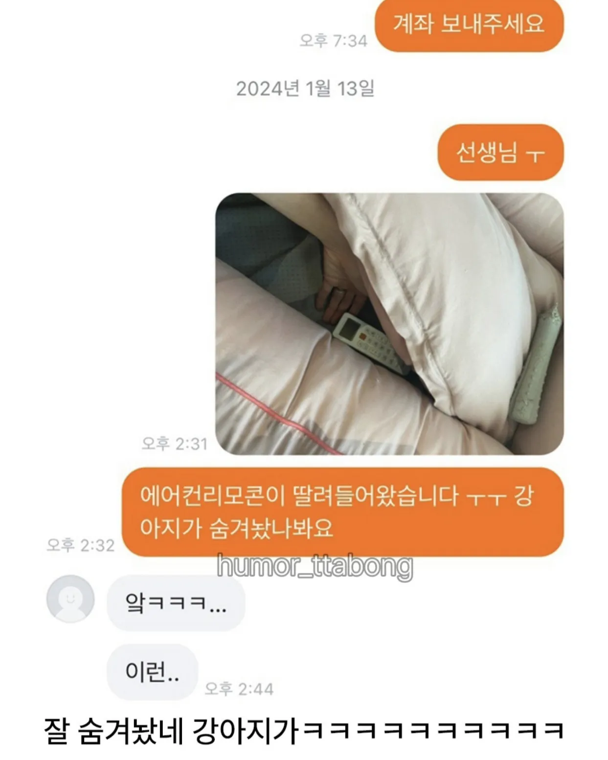 강아지방석 당근했는데 (4)