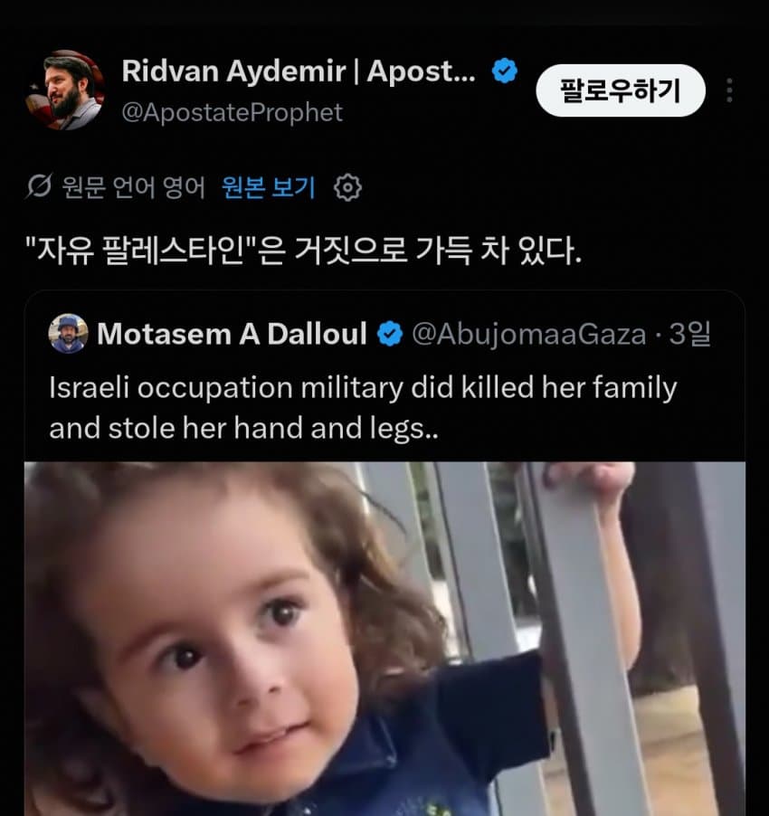 끊임없는 팔레스타인 가짜뉴스 근황... jpg (9)