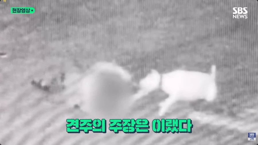 개물림 사고를 낸 견주의 황당한 주장 (7)