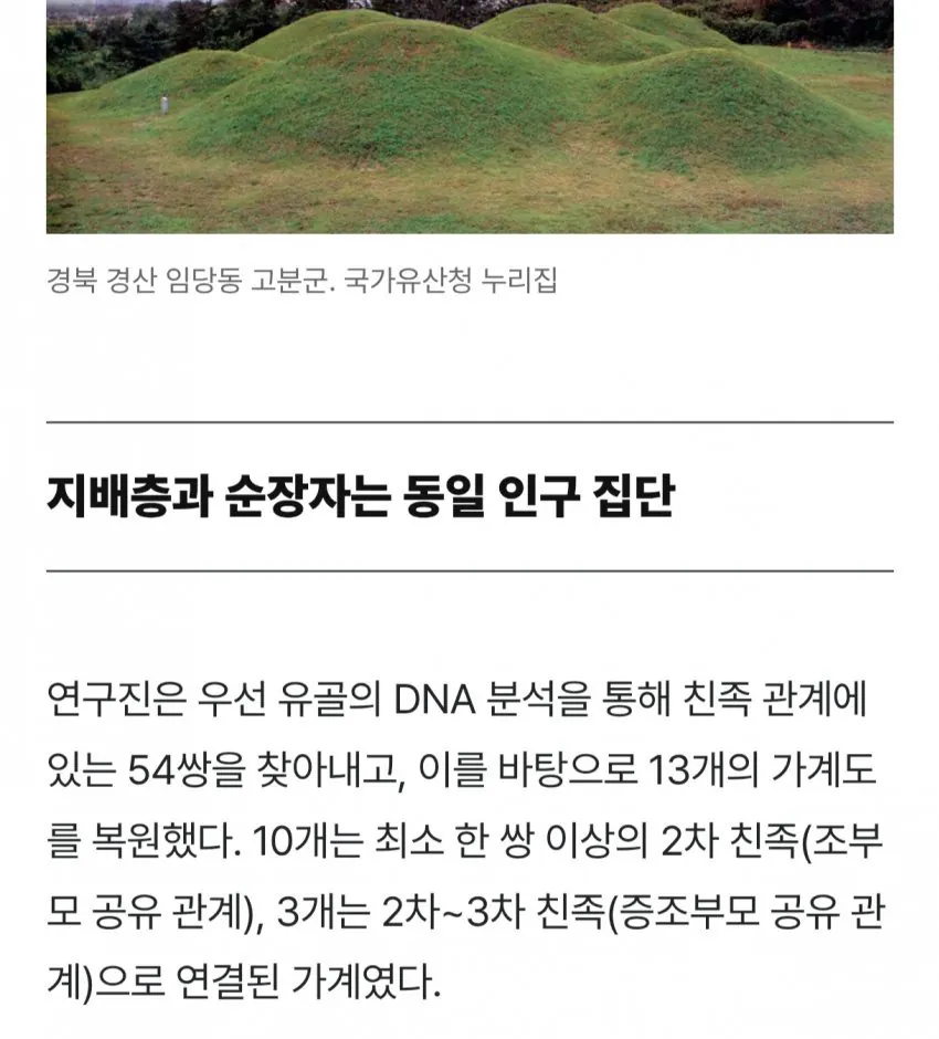 2.webp 충격적인 신라시대 근친과 순장 연구결과