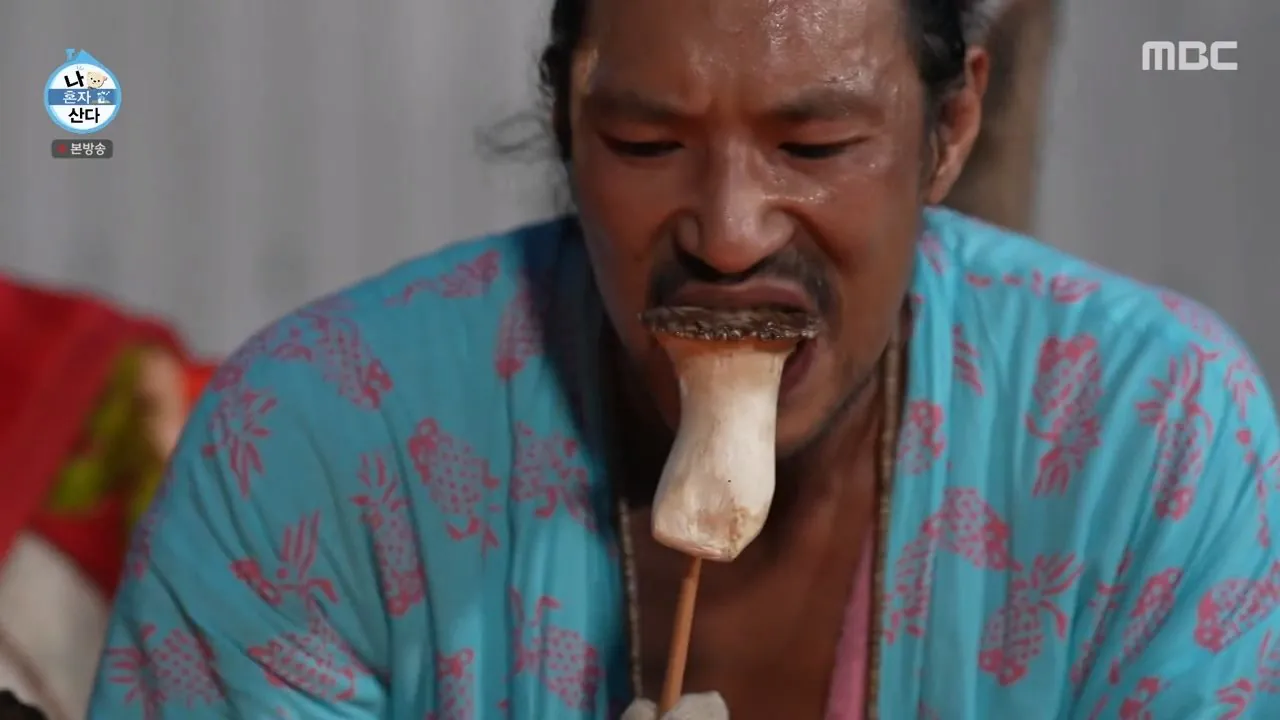 나혼자산다와 나는 자연인이다 사이의 중간 어디 (15)