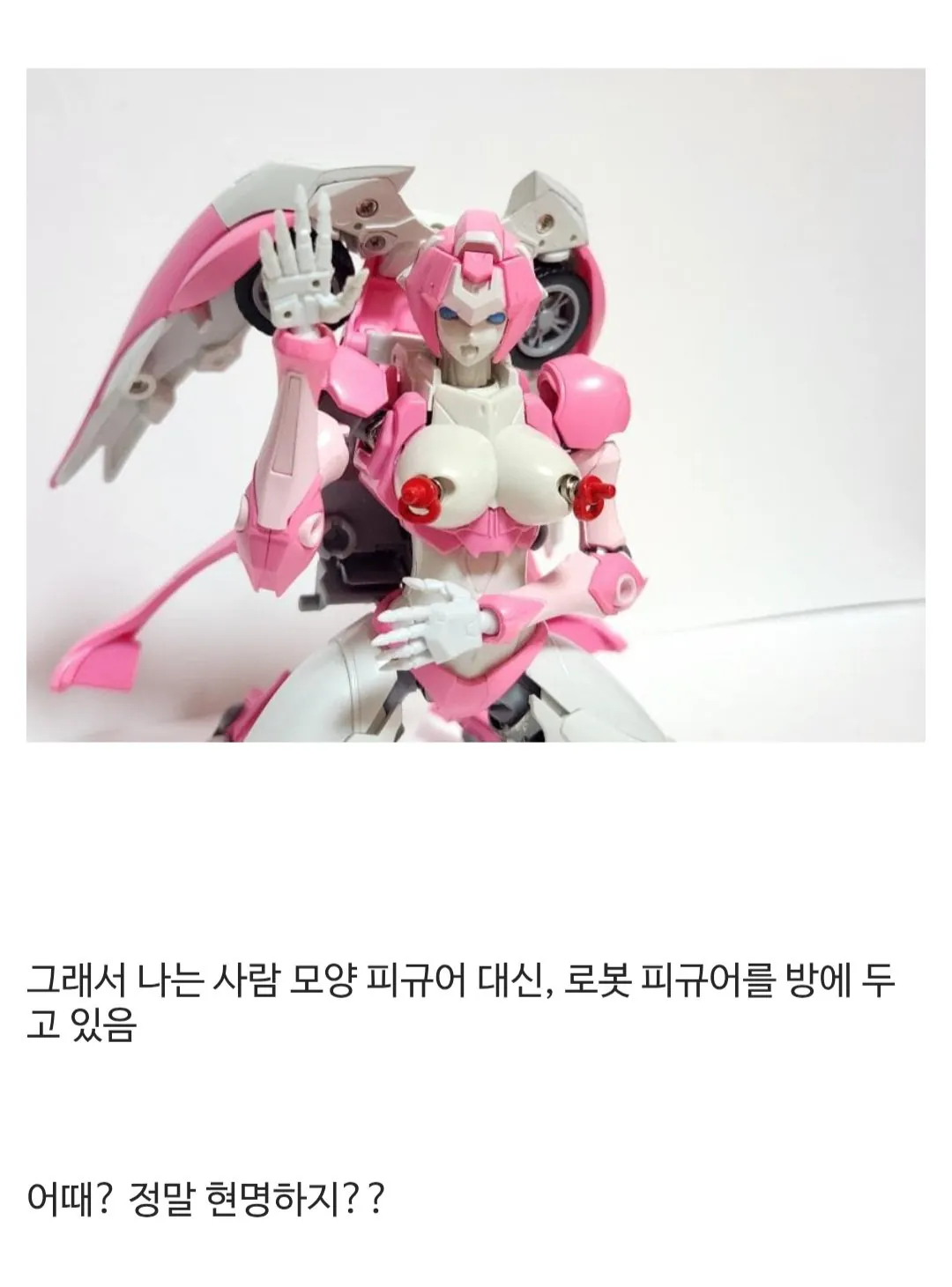 ㅇㅎ) 토이토이 집에 사람 모양 피규어를 두면 안 되는 이유와 디시인들 반응 (5)