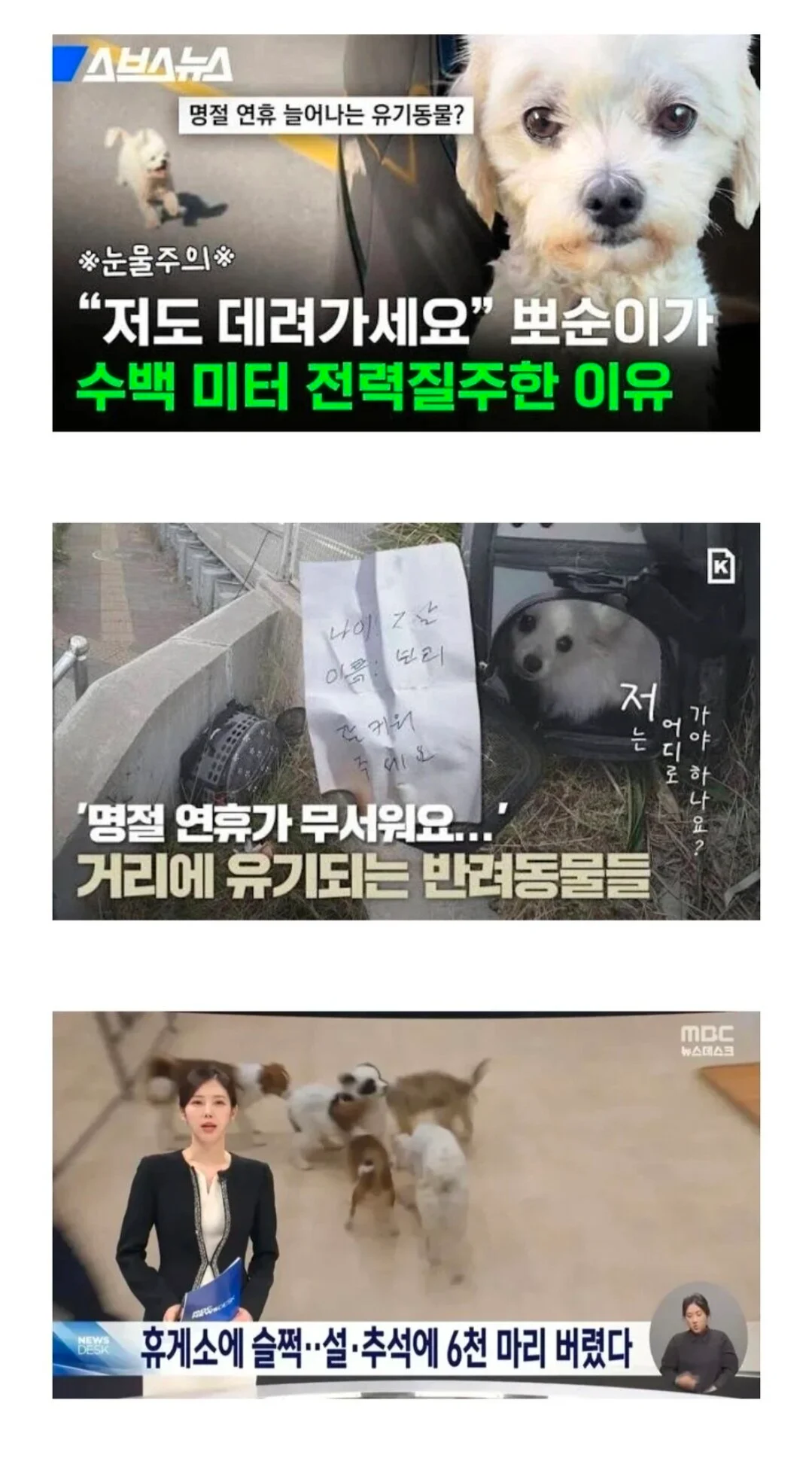 특히 명절 연휴에 폭증한다는 대참사..