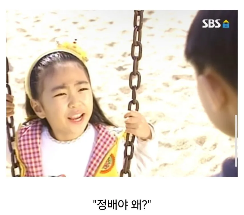 미달이랑 뽀뽀한 정배의 최후