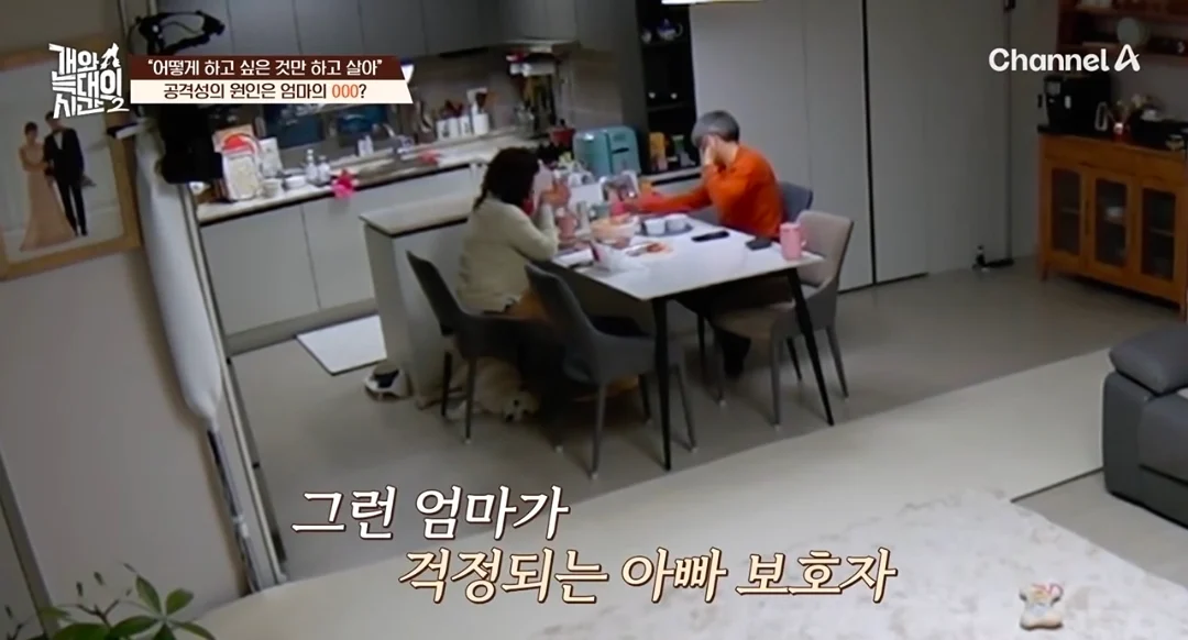 개늑시에 나오는 문제견 견주 특징 (10)