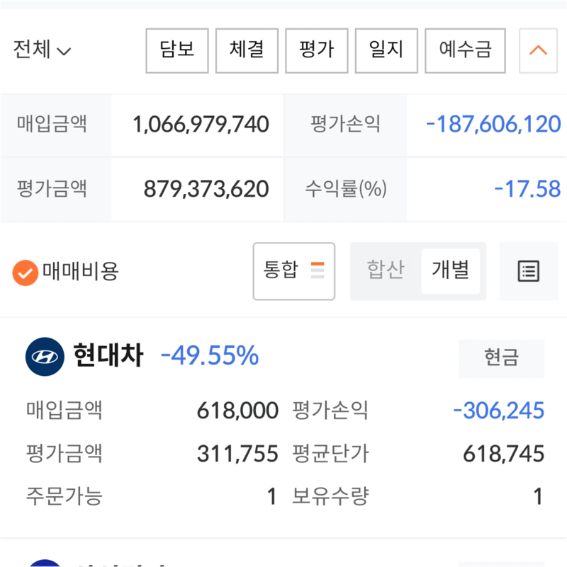 주가 폭락 기념 쑥대밭 계좌 공개