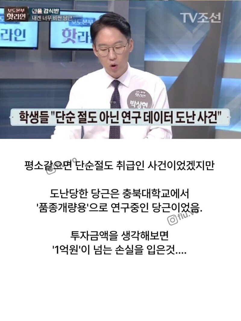 고기구워먹는다고 연구용 당근 몽땅캐간 지역주민들 (4)