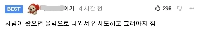 북항 상어 막상 보러가서 실망한다는 부분 (2)