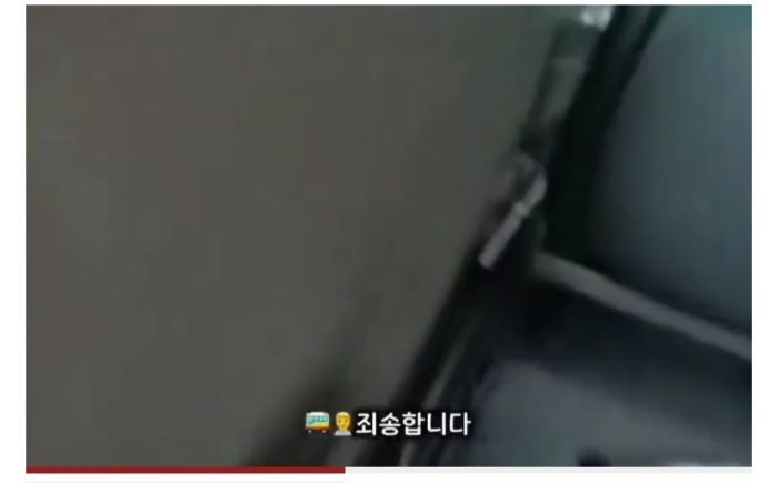 청각장애인 보조견 탑승을 거부한 버스기사님 (6)