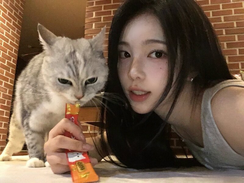 오늘 생일인 하츠투하츠 이안 (4)