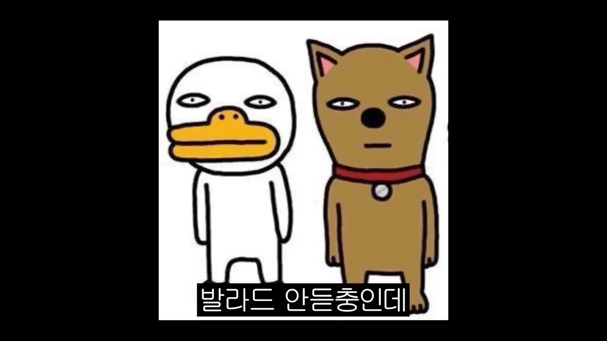 알고 보면 케이팝덬들한테 진짜 많다는 유형............. (3)