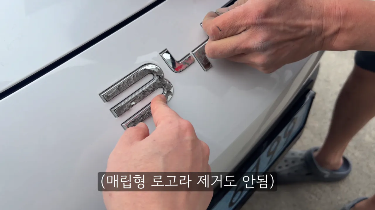 byd 사서 대충 로고만 바꿔서 타면 어떰?