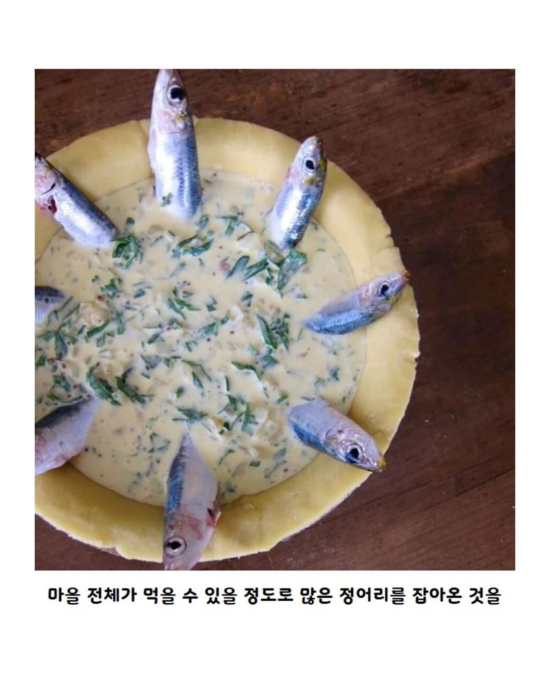 영국 정어리 파이의 진실 (3)