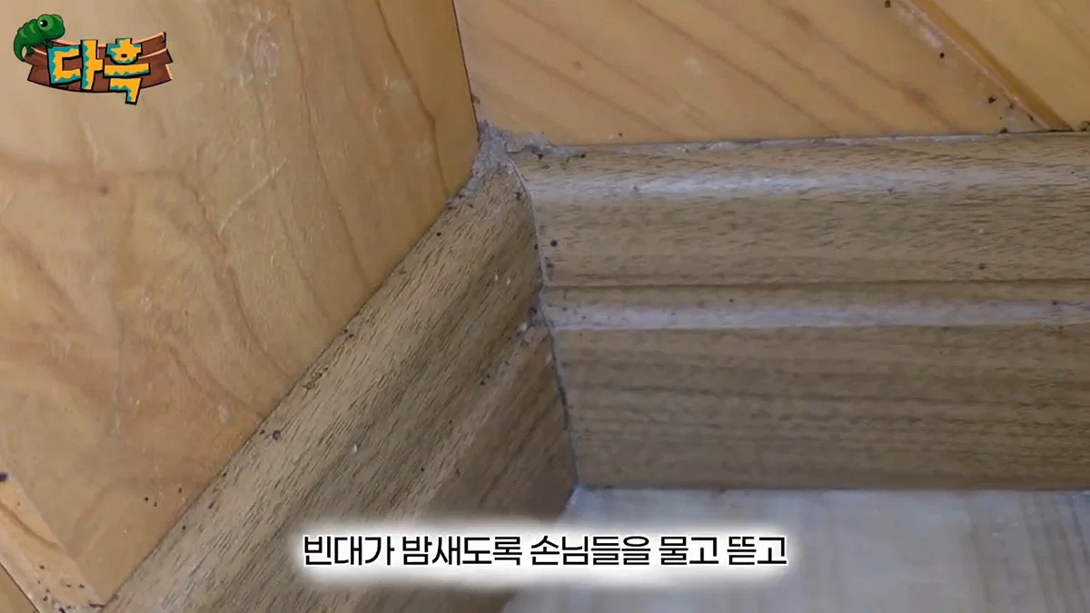 부산 찜질방 빈대 이슈 업로드한 유튜버 다흑... (16)