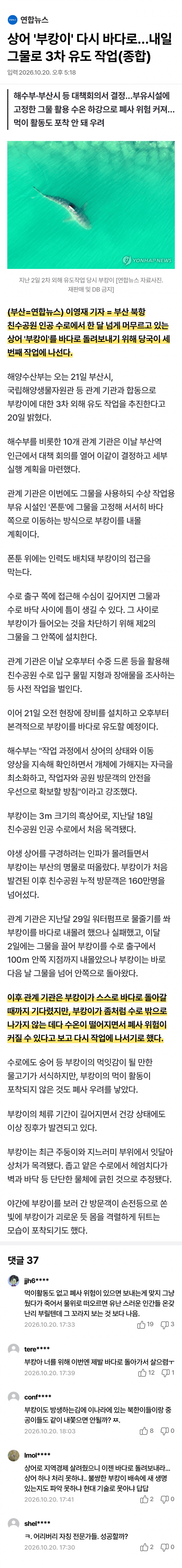 한 달째 갇힌 부산 상어…세 번째 탈출 작전