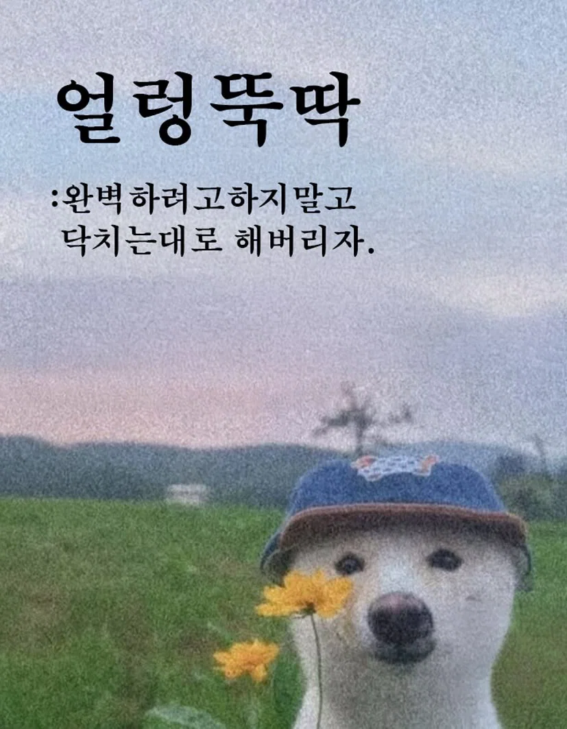 지금 내가 할 수 있는 일은 함부로 살지 않는 일 (22)