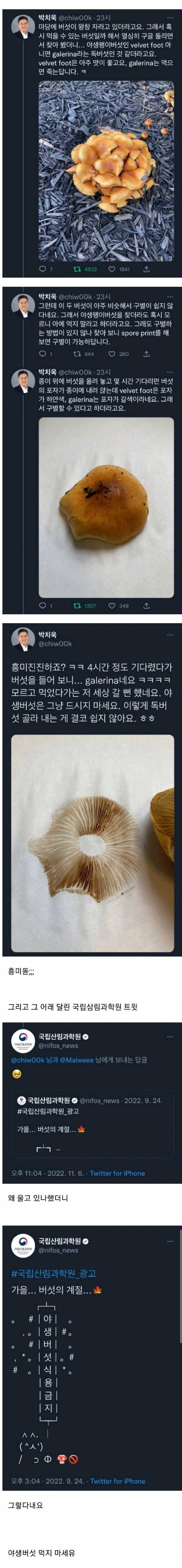죽음의 이지선다