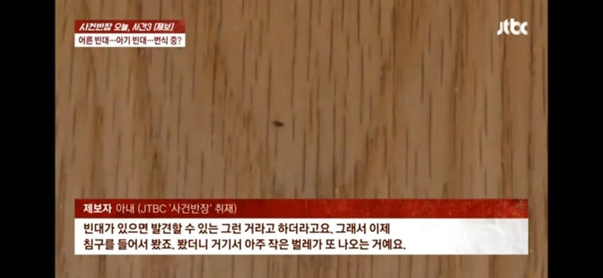 해운대 한 호텔에 빈대 출현…호텔은 "환불 불가" (7)