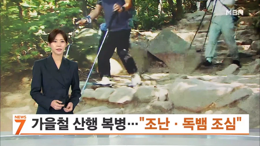 요즘 산행에 독뱀 조심하라네...